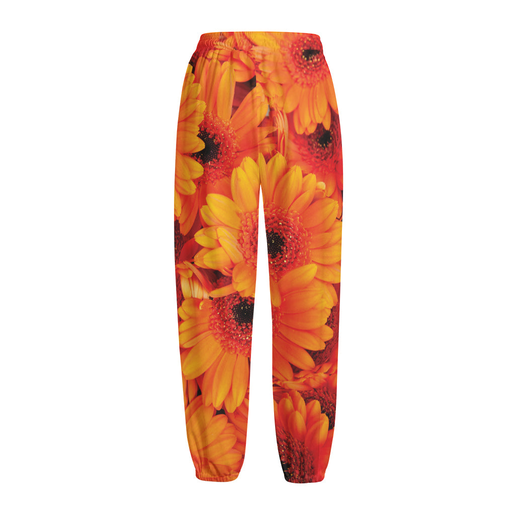 Orange Daisy Flower Print Fleece Lined Knit Pants