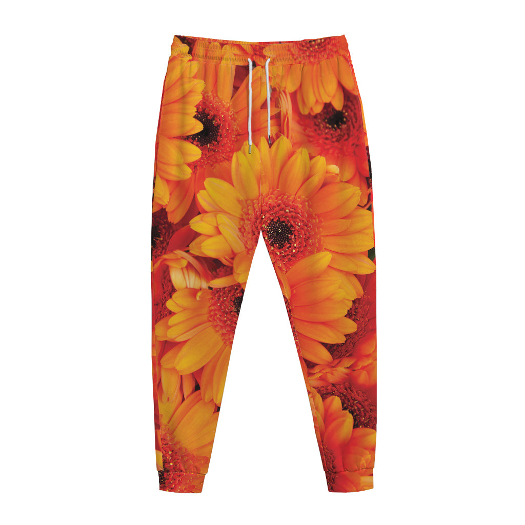 Orange Daisy Flower Print Jogger Pants