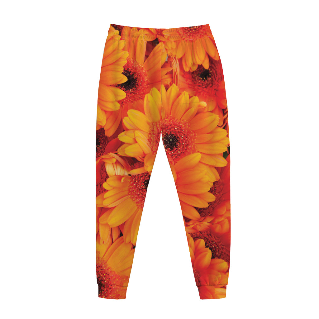 Orange Daisy Flower Print Jogger Pants