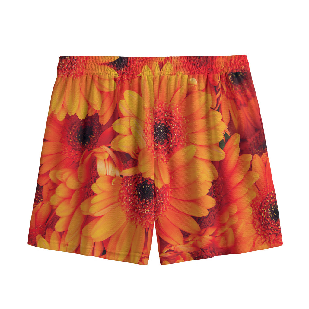 Orange Daisy Flower Print Mesh Shorts