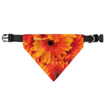 Orange Daisy Flower Print Over The Collar Dog Bandana