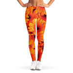 Orange Daisy Flower Print Women's Leggings