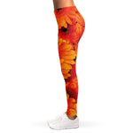 Orange Daisy Flower Print Women's Leggings