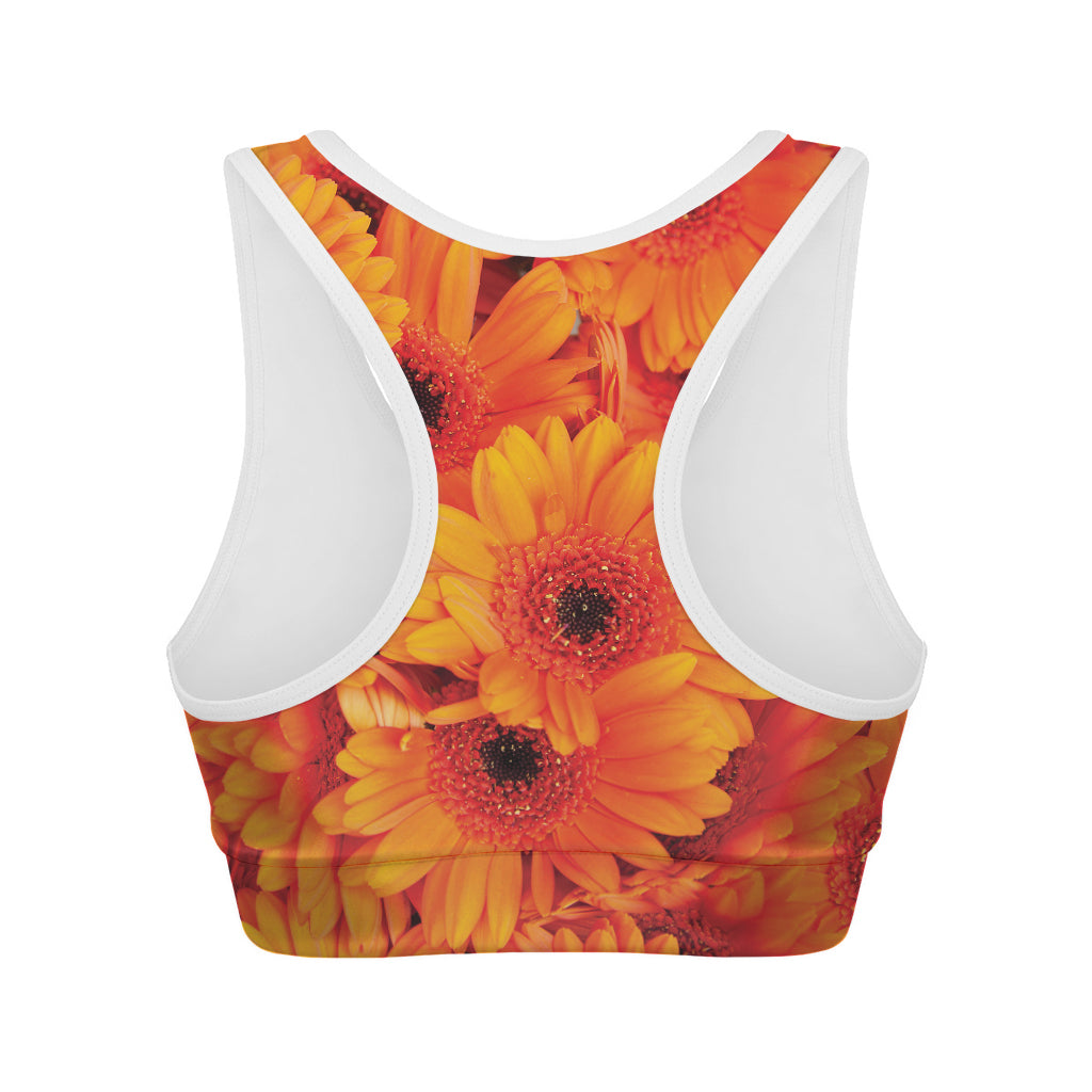 Orange Daisy Flower Print Women's Sports Bra