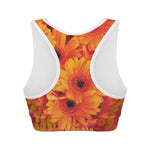 Orange Daisy Flower Print Women's Sports Bra