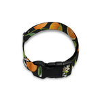 Orange Fruit Pattern Print Dog Collar
