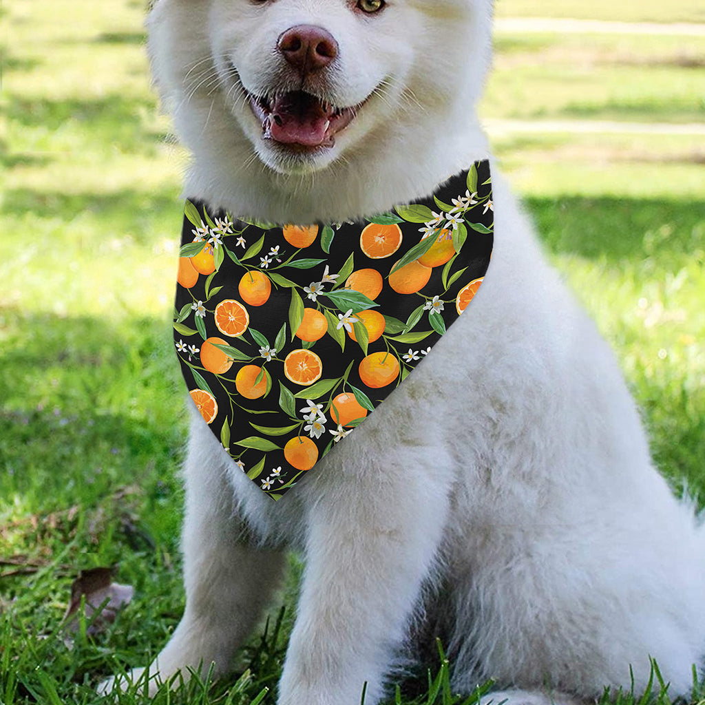 Orange Fruit Pattern Print Over The Collar Dog Bandana