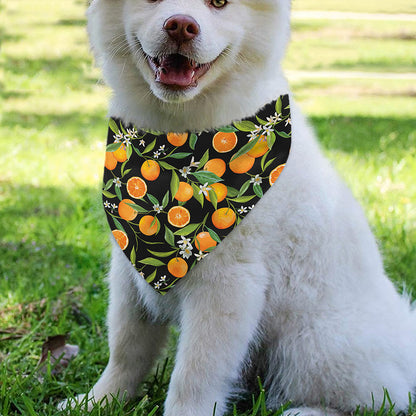 Orange Fruit Pattern Print Over The Collar Dog Bandana