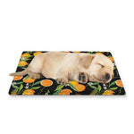 Orange Fruit Pattern Print Pet Cooling Mat Cover