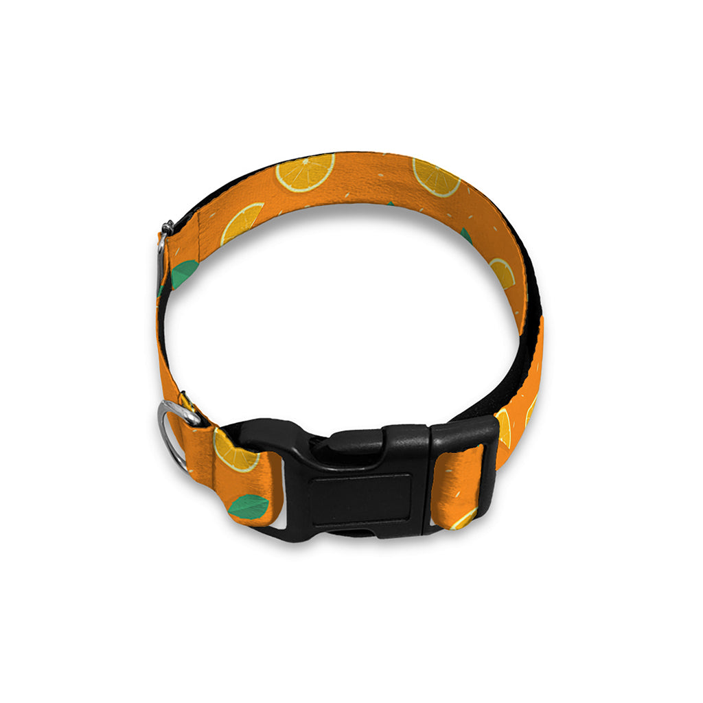 Orange Fruit Slices Pattern Print Dog Collar