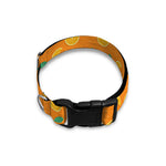 Orange Fruit Slices Pattern Print Dog Collar