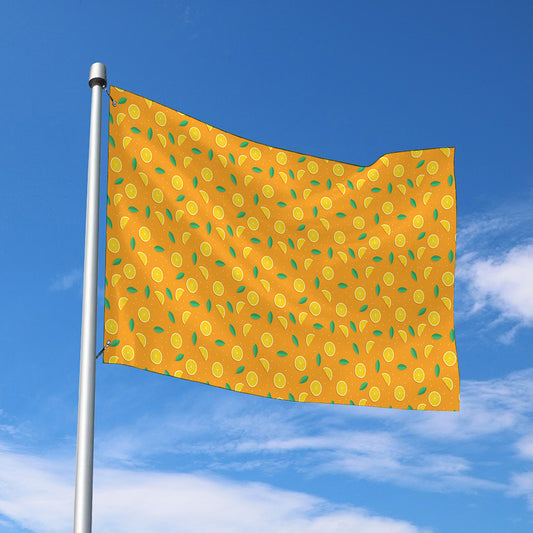 Orange Fruit Slices Pattern Print Polyester Flag