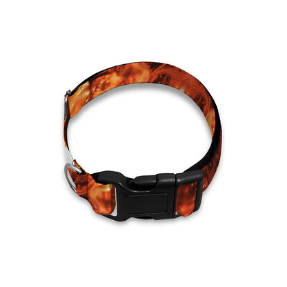 Orange Kaleidoscope Print Dog Collar