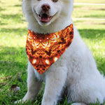 Orange Kaleidoscope Print Over The Collar Dog Bandana