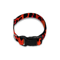 Orange Leopard Print Dog Collar