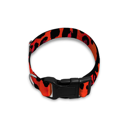 Orange Leopard Print Dog Collar