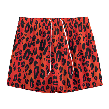 Orange Leopard Print Mesh Shorts