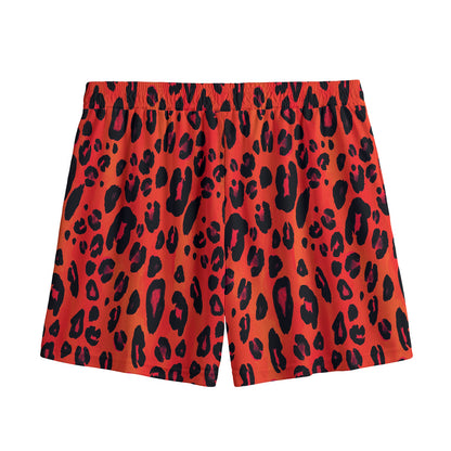 Orange Leopard Print Mesh Shorts