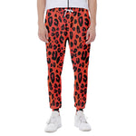 Orange Leopard Print Scuba Joggers
