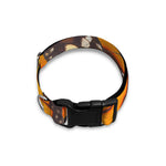 Orange Monarch Butterfly Pattern Print Dog Collar