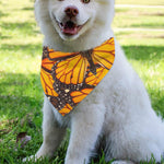 Orange Monarch Butterfly Pattern Print Over The Collar Dog Bandana