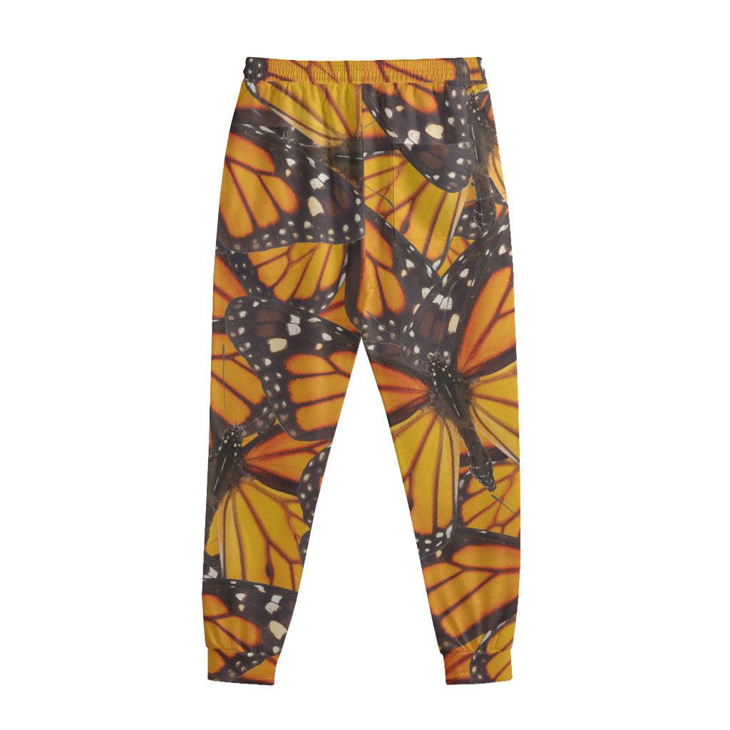 Orange Monarch Butterfly Pattern Print Sweatpants