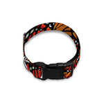 Orange Monarch Butterfly Wings Print Dog Collar