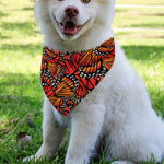 Orange Monarch Butterfly Wings Print Over The Collar Dog Bandana