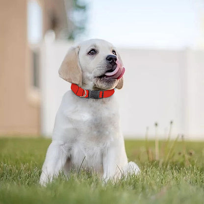 Orange Paisley Bandana Print Dog Collar