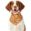 Orange Paw And Bone Pattern Print Dog Bandana