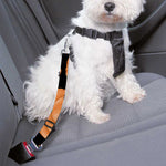 Orange Pumpkin Pattern Print Dog Seat Belt