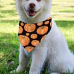 Orange Pumpkin Pattern Print Over The Collar Dog Bandana