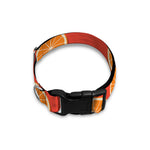 Orange Slices Pattern Print Dog Collar