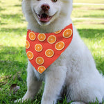 Orange Slices Pattern Print Over The Collar Dog Bandana
