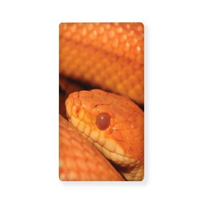 Orange Snake Print Baby Crib Sheet