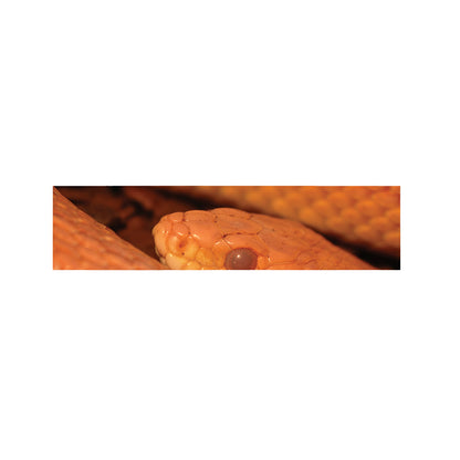 Orange Snake Print Bed Runner