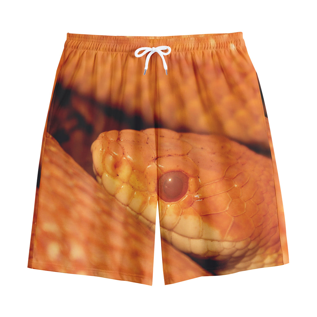 Orange Snake Print Cotton Shorts