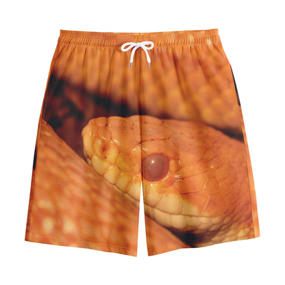 Orange Snake Print Cotton Shorts