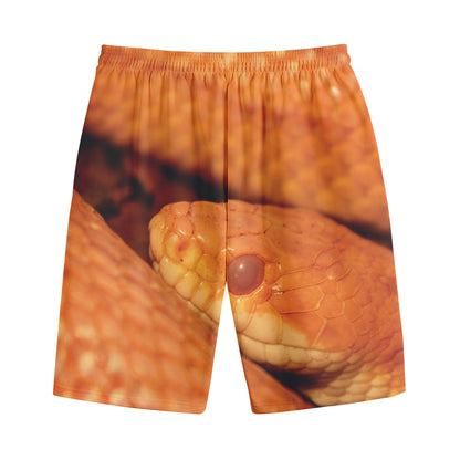 Orange Snake Print Cotton Shorts