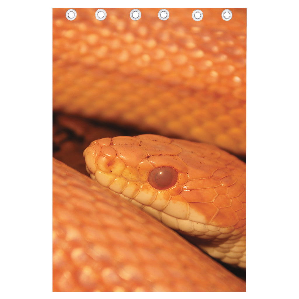 Orange Snake Print Curtain