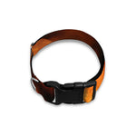 Orange Snake Print Dog Collar