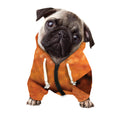 Orange Snake Print Dog Zip Up Hoodie