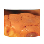 Orange Snake Print Drum Lamp Shade