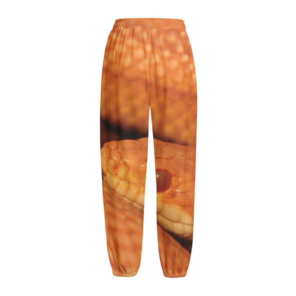 Orange Snake Print Fleece Lined Knit Pants