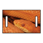 Orange Snake Print Golf Cart Seat Cover