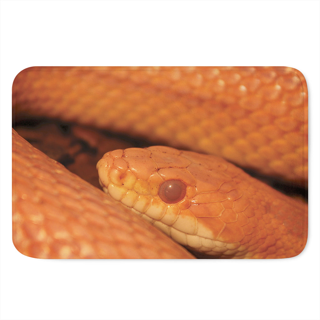 Orange Snake Print Indoor Door Mat