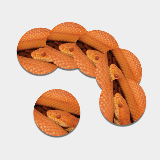Orange Snake Print Leather Coaster Set
