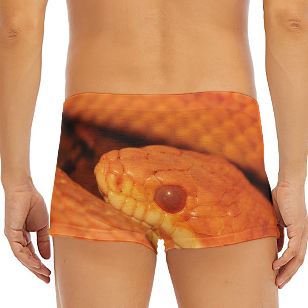 Orange Snake Print Men's Short Boxer Briefs