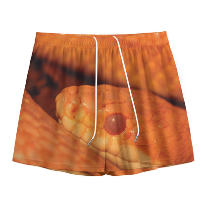 Orange Snake Print Mesh Shorts