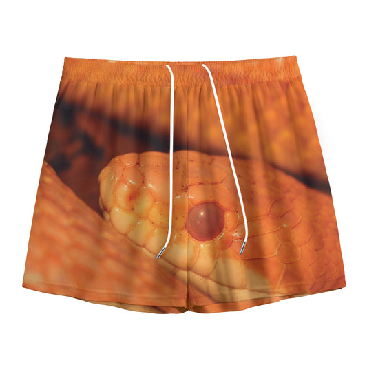 Orange Snake Print Mesh Shorts